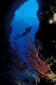 scuba diving cook islands, aitutaki