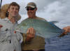 now that's a nice Blue trevally for the release, aitutaki fishing