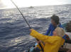 Viviane battles a yellowfin tuna